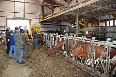 Eilt im Renntempo von einem Projekt zum andern - Johannes Schörkhuber hat innerhalb eines halben Jahres 25 Pinzgauer-Milchkühe erworben!