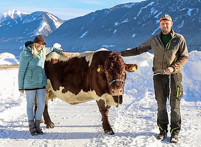 16 Jahre und kein bisschen müde! Lebensleistungskuh PIA von Hannes Kolbitsch, Briesinger in Steinfeld/Drau