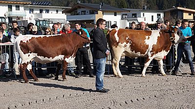 Hatte wahrlich keine leichte Aufgabe - Preisrichter Josef Berger war angesichts des enormen Könnens der Schüler ziemlich gefordert! Links im Bild Johannes Hörfarter vom Riedlhof in Kössen mit der Luchs-Tochter WANDA