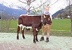 IMG 7036