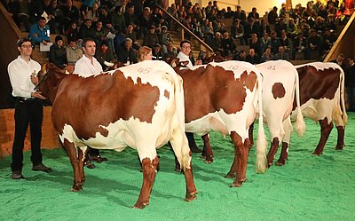 Zeigen ihr Leistungspotenzial! Töchtergruppe von GAU