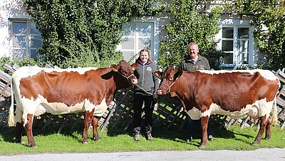 Zweitkalbskühe BRUNNI (V.Lorenz) und DUX (V.Waldherr) von Ernst Bründlinger, Jageregg, Bruck