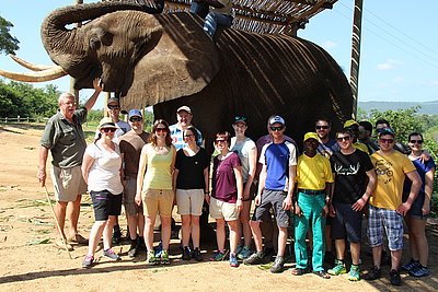 Ein Koloss von Elefant auf "Elephant Wispers" in Hazyview