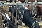 IMG-20250403-WA0026