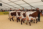 IMG 1297
