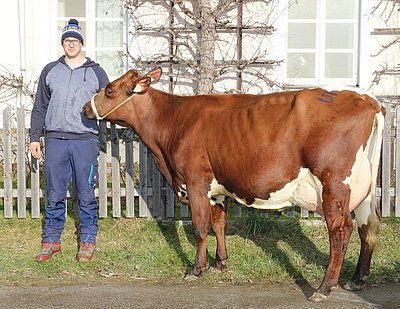 UTTER (V.Carmano Red) von Maria und Andreas Haym, Untersulzberg, Radstadt