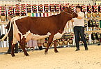 IMG 0284