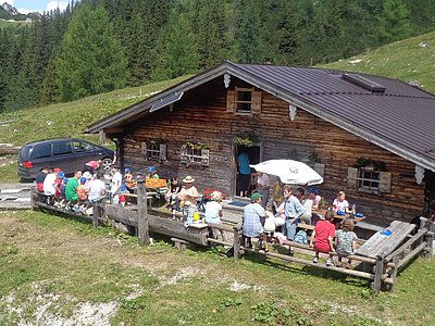 Jährlicher Fixpunkt - der Besuch des Jungviehs auf der Alm von Georg Lenz in Schönau/Königssee.