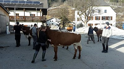 Die große Gruppe der Jungzüchter zeigte Begeisterung und Motivation!