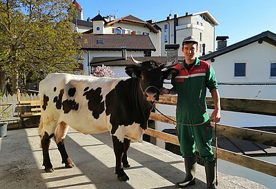 Eine schöne, neue Heimat für Elli