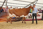 IMG 1290