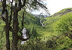 IMG 2012