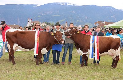 Reservesiegerin SENNI (V.Mirko) von Josef Ploner, Moar und Euter- und Gesamtsiegerin VEGILE (V.Ruben) von Matthias Ploner, Tantscher