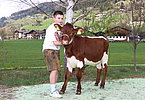 IMG 6973