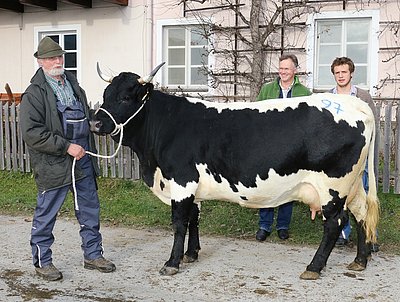SCHWARZEI von Johann Höller, Entfeld, Thumersbach
