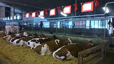 Das Wohlgefühl der Tiere spricht für eine perfekte Pflege!