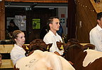 IMG 3281