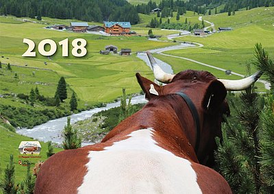 Pinzgauer Kalender 2018
