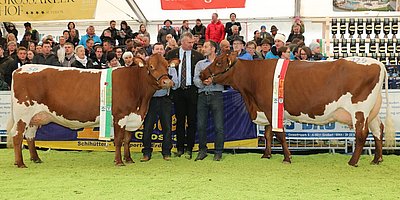 Pinzgauer x RF-Reservesiegerin WOLGA und Siegerin MUNTER - beide von Claudia u. Josef Ebner, Oberbichl