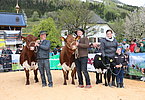Schöner Auftritt von Familie Wimmer, Wimmbauer - Franz mit Viertkalbskuh Raut (V.Lauser), Christian mit Jungkuh Bregenz (V.Natz) und Bettina u. Valentin mit dem schwarzen Kalb (V.Raureif)