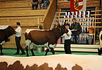 IMG 3234