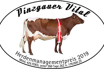 News Titelbild