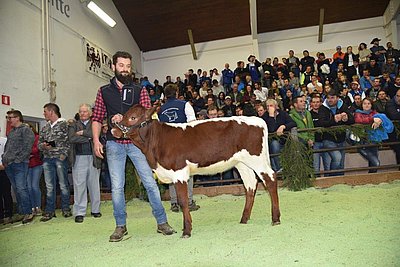 Matthias Ploner konnte für sein ansprechendes Jungtier NUNNI (Loser x Locki) € 1.800 erlösen.