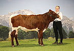 137 Lindner Angerer