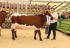 IMG 0059