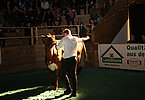 IMG 3701