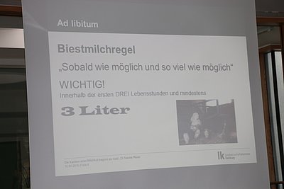 Drei Liter Biestmilch in den ersten drei Lebensstunden - die goldene Regel der ad libitum-Tränke!