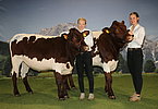 Höttl Mühl3