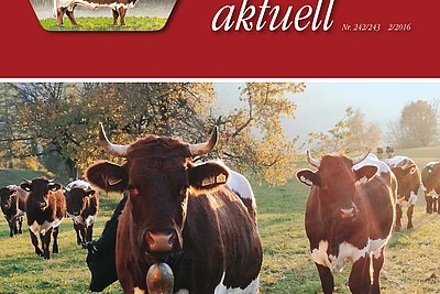News Titelbild