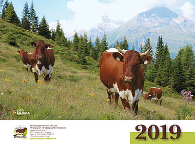 Pinzgauer Kalender 2019