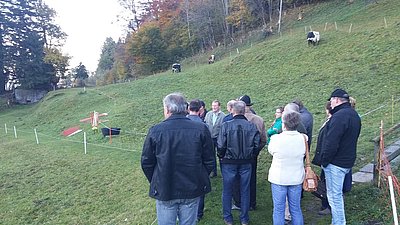 Mit den Pinzgauern im Hintergrund wurden wir im Restaurant Maiensäss bei Freuler Michael in Oberschan begrüßt.