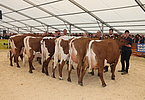 IMG 1237