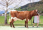 IMG 6978