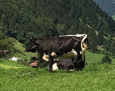 Mit 19 Monaten noch etwas sehr jung...