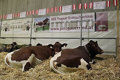 News Titelbild