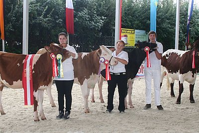 News Titelbild