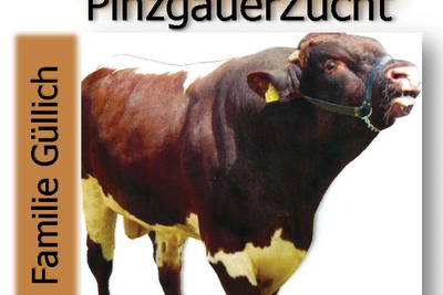 News Titelbild