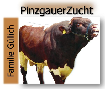 Ein guter Auftritt ist für eine erfolgreiche Zucht unerlässlich - Pinzgauer-Logo der Familie Güllich!