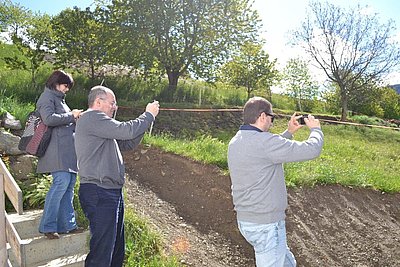 Die schöne Optik der Pinzgauer-Kalbinnen musste eingefangen werden... ;)