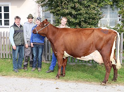 Drittkalbskuh SPEICK (V.Curtis Red) von der LFS Bruck, Piffgut.