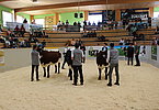 IMG 2760