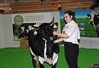 Anna Riedlsperger mit KORINTH (V.Rausch), ebenfalls Typreservesiegerin in ihrer Gruppe