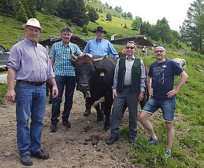 Vlnr. Pinzgauerobmann Christian Dullnigg, Zuchtleiter Valdostana Mario Vevey, Tuxerobmann Alois Huber, Karl Mair und Zuchtleiter Tuxer Christian Moser.