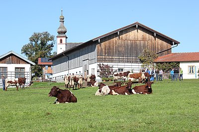 Idyllisch gelegen - der schöne Hof von Franziska und Sepp Mösenlechner in Teisendorf