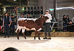 IMG 0529