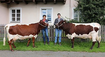 Freude auch bei Veronika u. Christian Eder, Bachseit, Bruck über den guten Erlös der beiden Zweitkalbskühe BLANKA u. SPEIK.